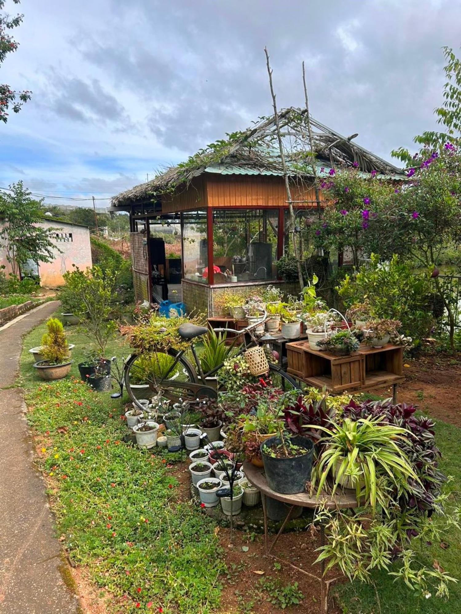 Nha Ben Ho - Da Lat Homestay Kültér fotó