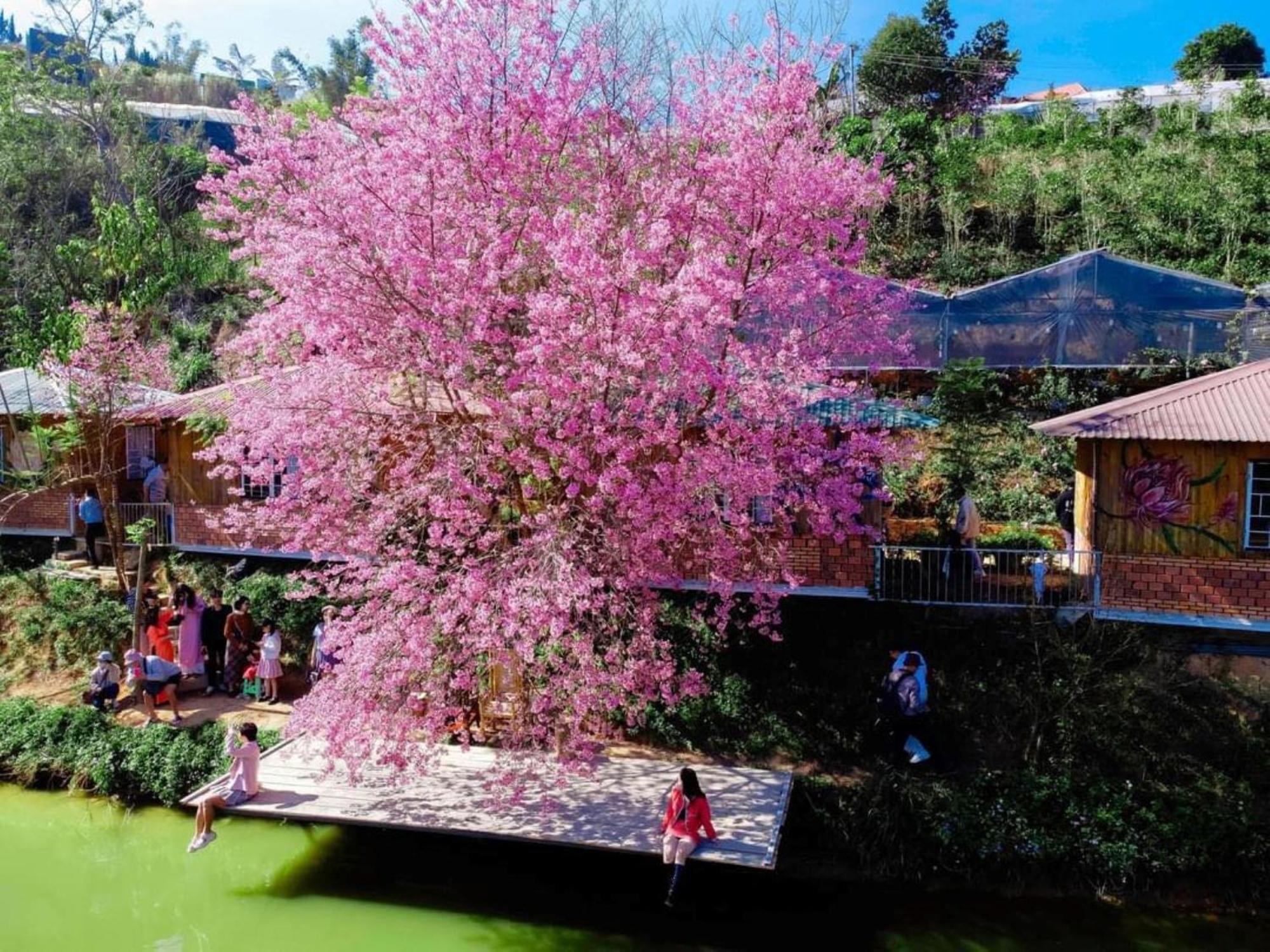 Nha Ben Ho - Da Lat Homestay Kültér fotó
