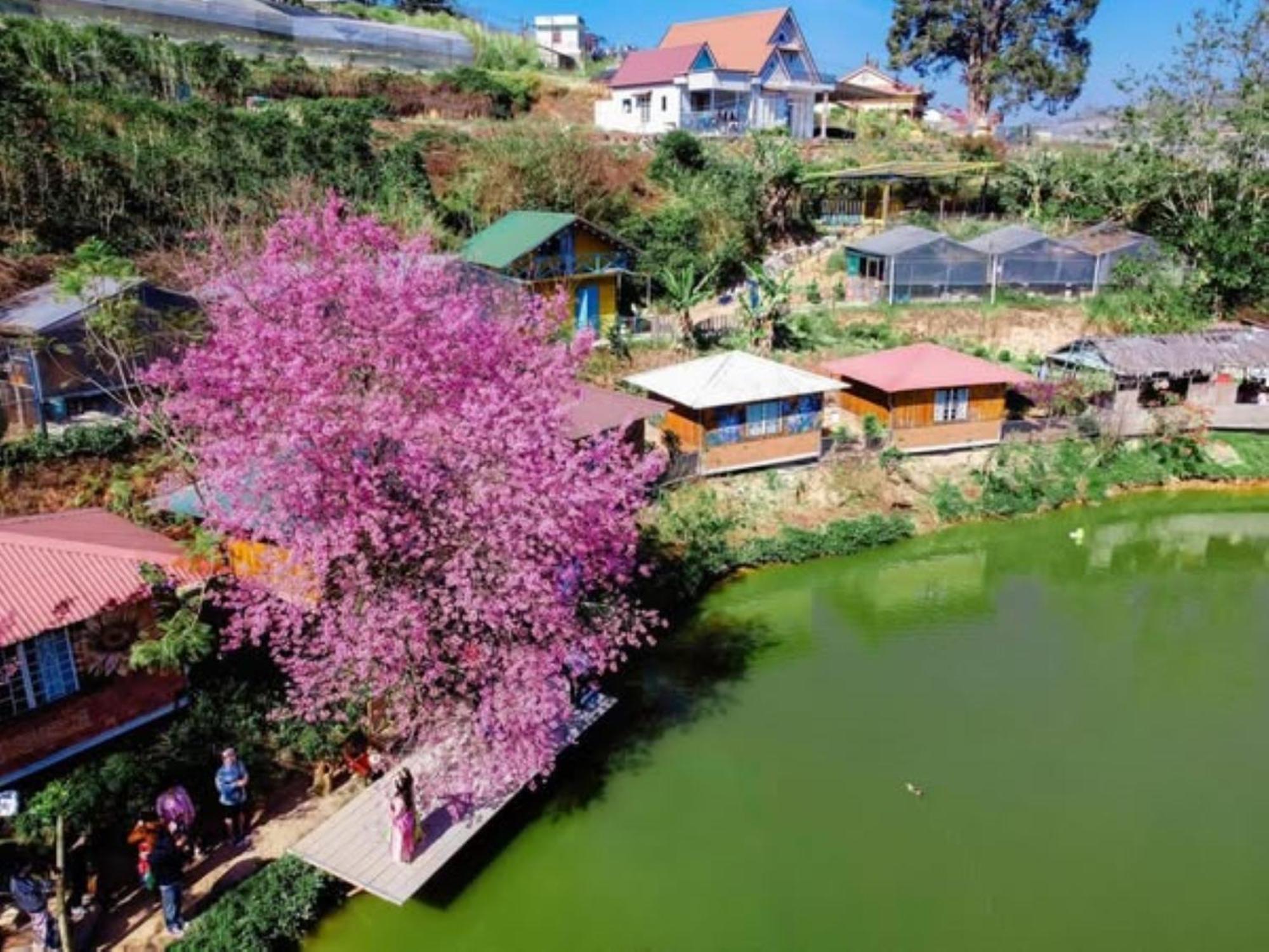 Nha Ben Ho - Da Lat Homestay Kültér fotó