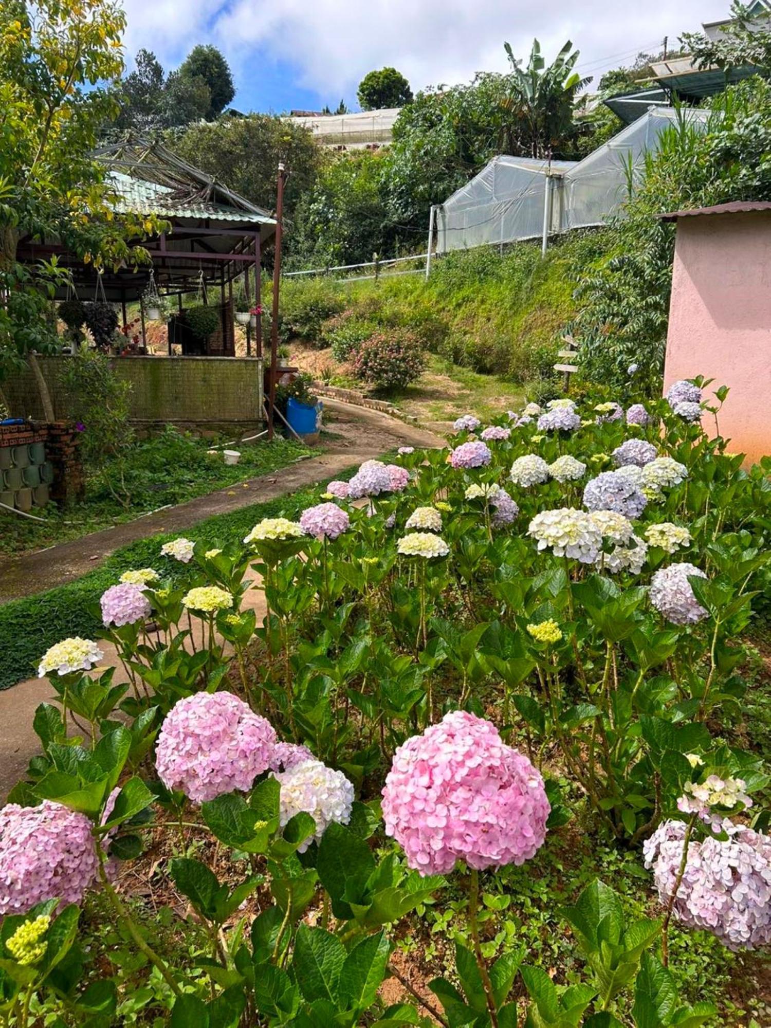 Nha Ben Ho - Da Lat Homestay Kültér fotó