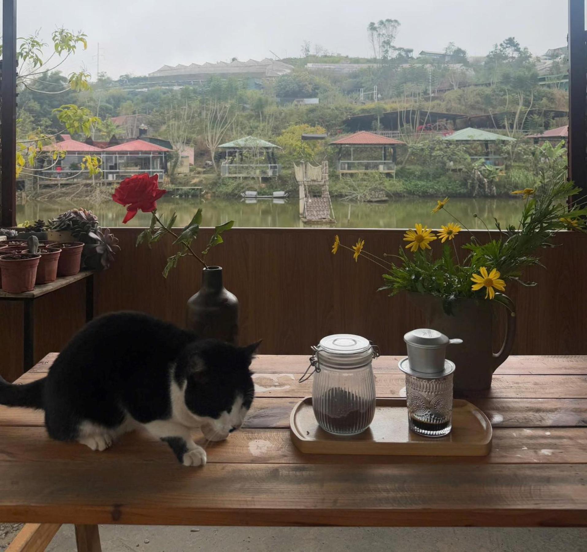 Nha Ben Ho - Da Lat Homestay Kültér fotó