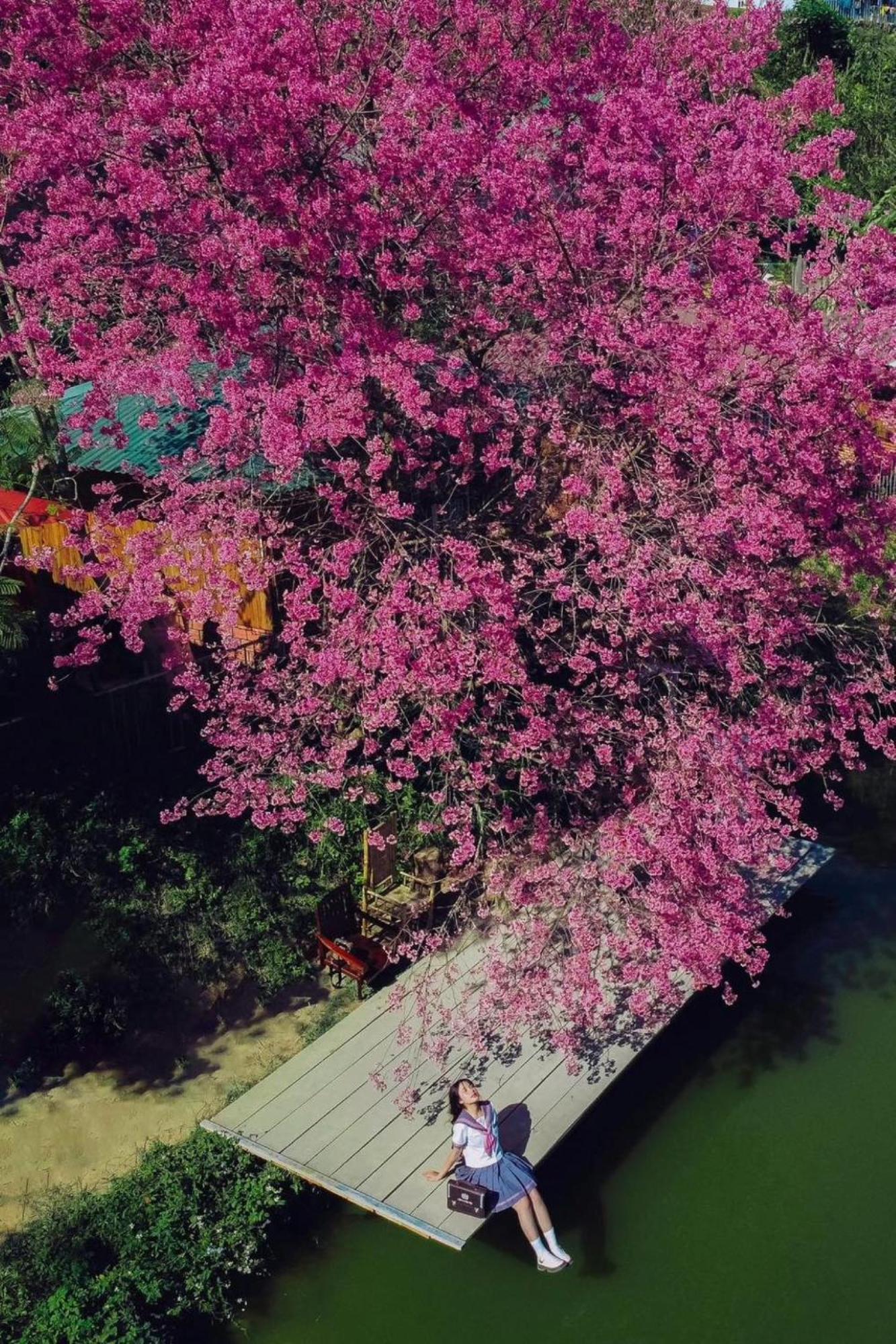 Nha Ben Ho - Da Lat Homestay Kültér fotó