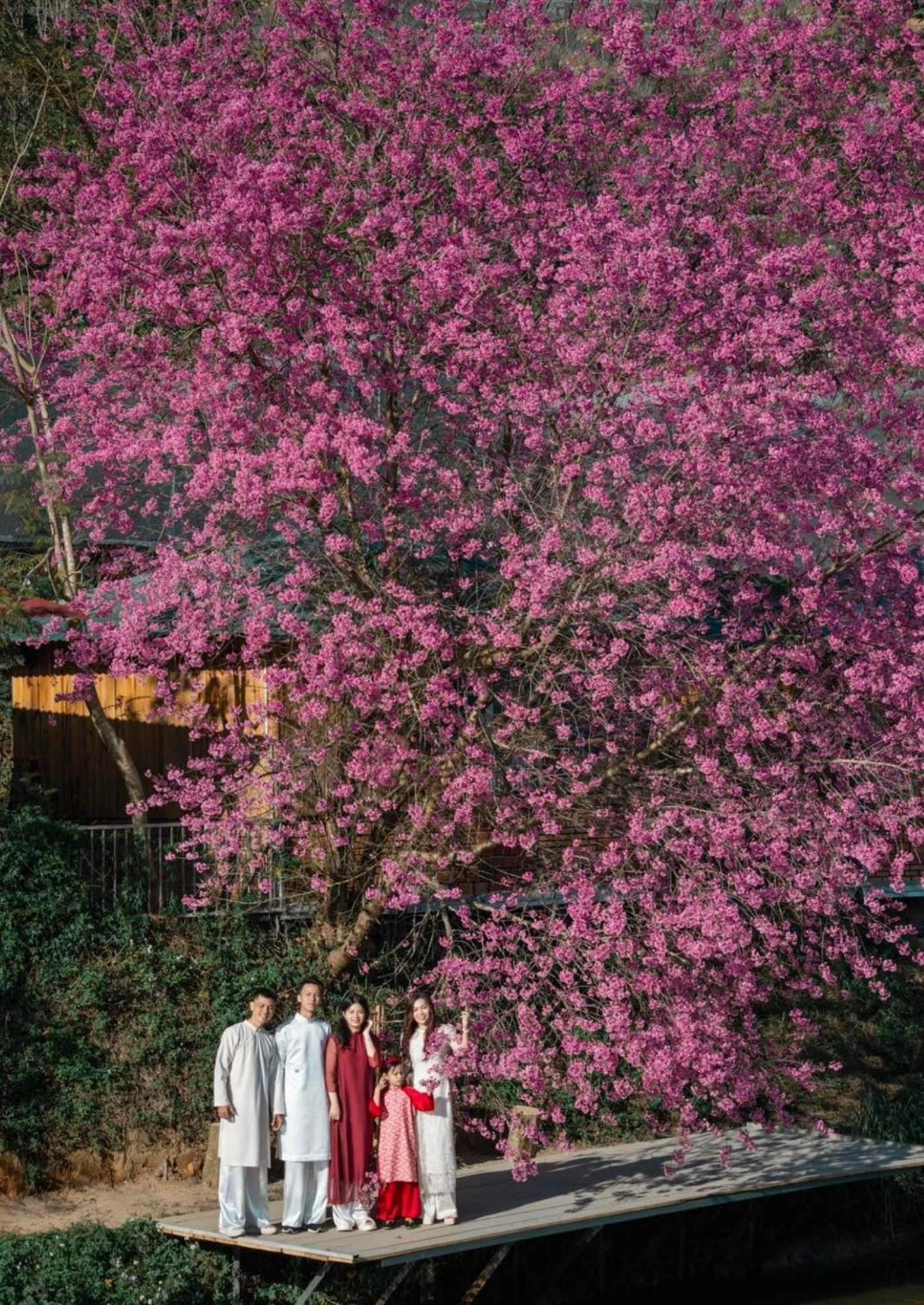 Nha Ben Ho - Da Lat Homestay Kültér fotó
