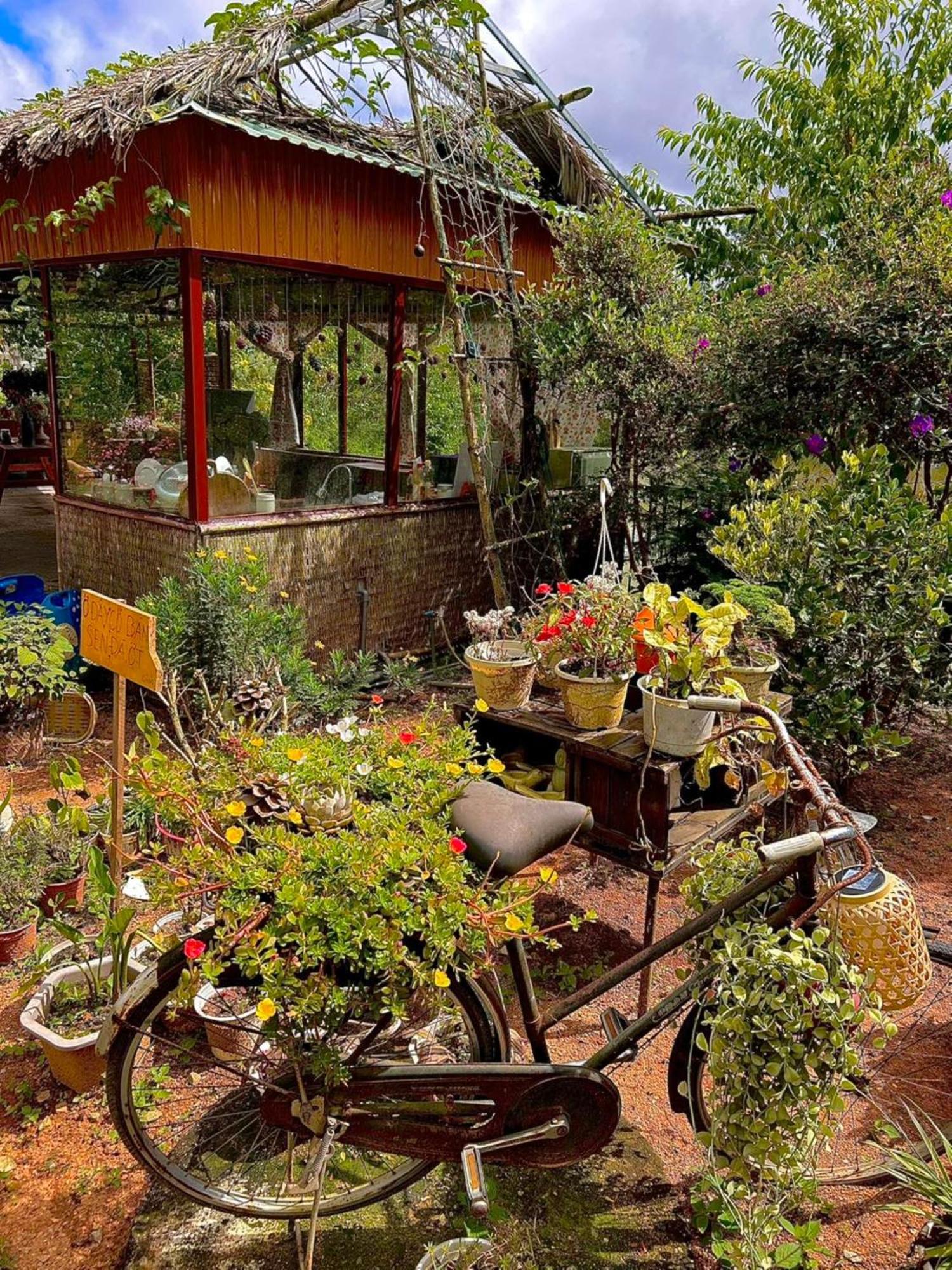 Nha Ben Ho - Da Lat Homestay Kültér fotó