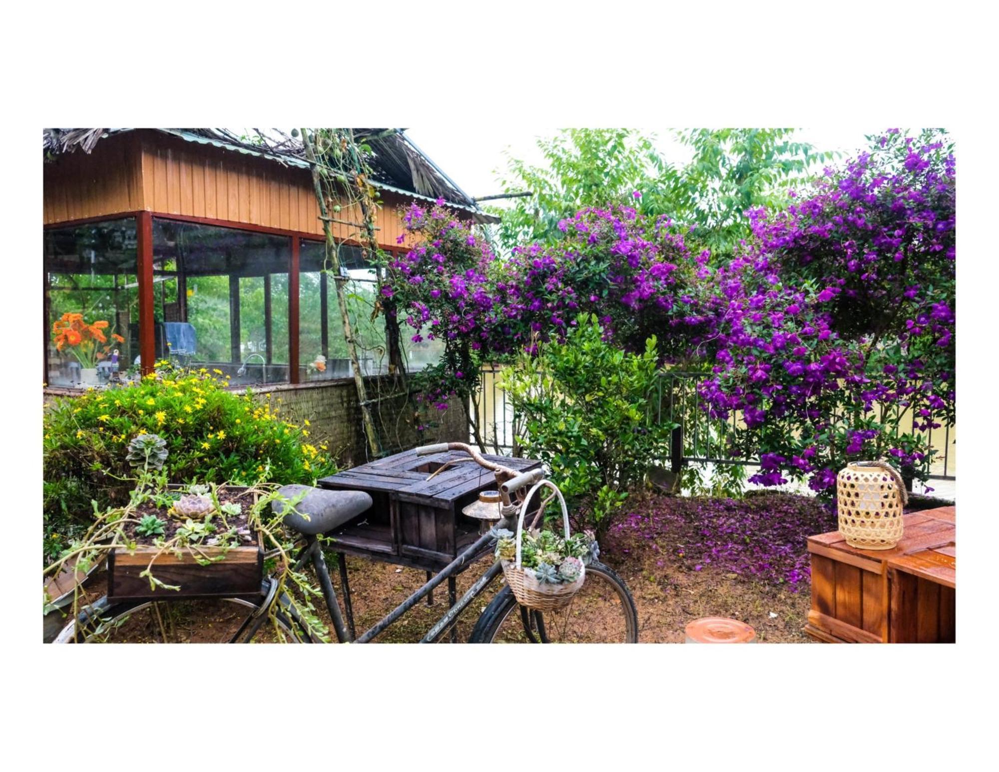 Nha Ben Ho - Da Lat Homestay Kültér fotó